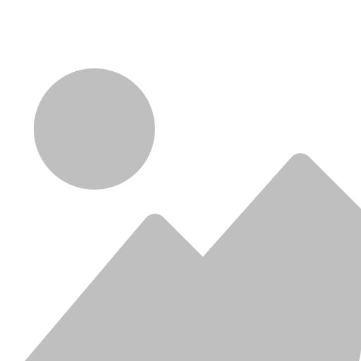 Graphic Designers